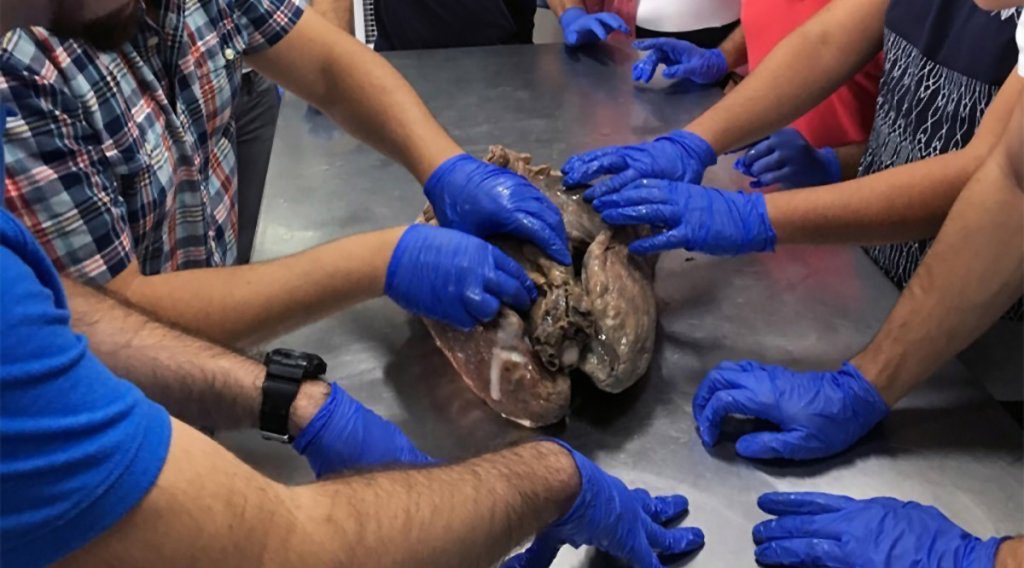 Master’s degree in Engineering in Medical Devices from TEC